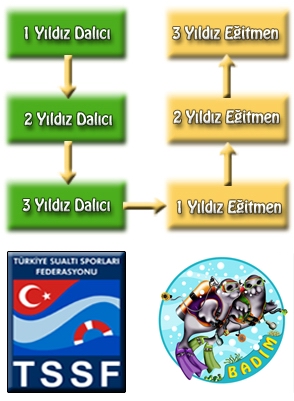 TSSF Dalıcı Kursları